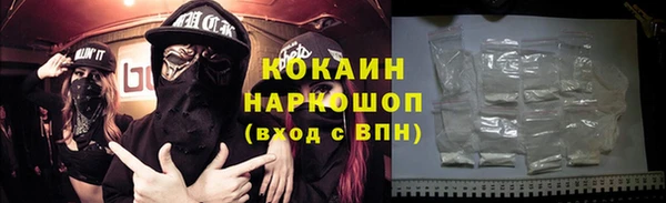 ГАЛЛЮЦИНОГЕННЫЕ ГРИБЫ Аркадак