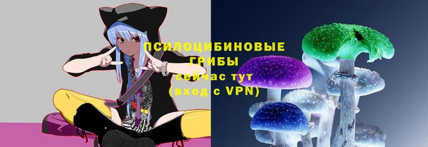 прущие крисы Армянск