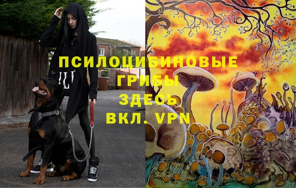 a pvp Арсеньев