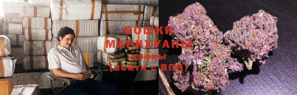 ГАЛЛЮЦИНОГЕННЫЕ ГРИБЫ Аркадак