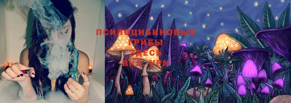ГАЛЛЮЦИНОГЕННЫЕ ГРИБЫ Аркадак