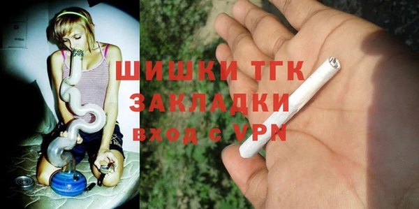 ГАЛЛЮЦИНОГЕННЫЕ ГРИБЫ Аркадак