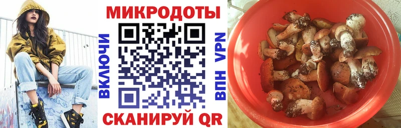 Псилоцибиновые грибы прущие грибы  Тетюши 